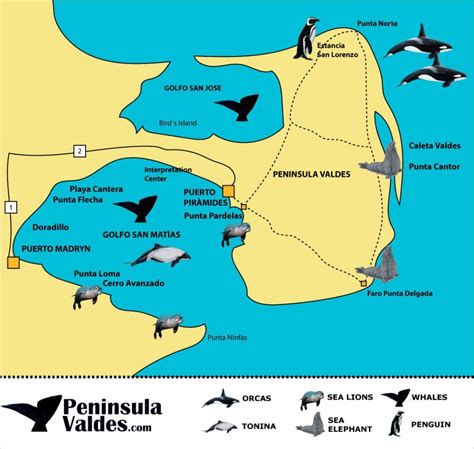 Peninsula Valdes Tour Guide