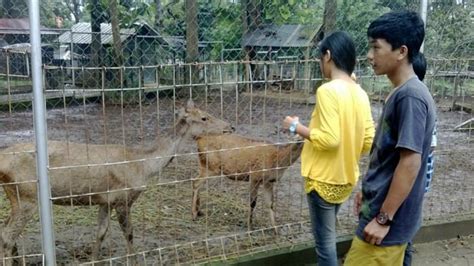 Penitipan Satwa di Kebun Binatang Bandar Lampung