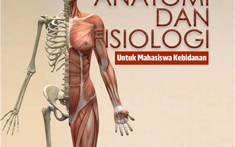 Penjelasan Anatomi Dan Fisiologi Sistem Tubuh