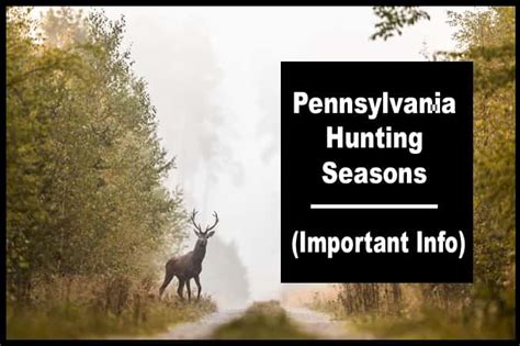 Pennsylvania Hunting Seasons Calendar