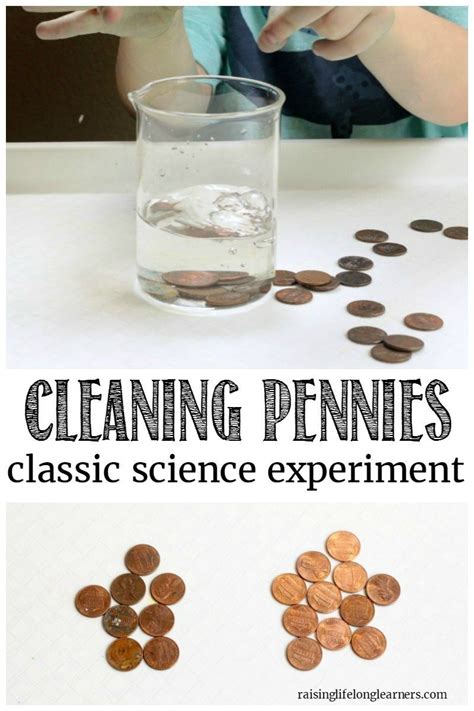 Penny Cleaning Experiment Worksheet