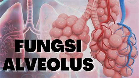 Penyakit yang Terjadi karena Ketidaknormalan Susunan dan Fungsi Alveolus