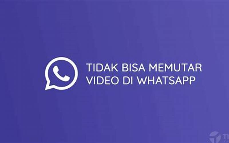 Penyebab Tidak Bisa Memutar Video Whatsapp