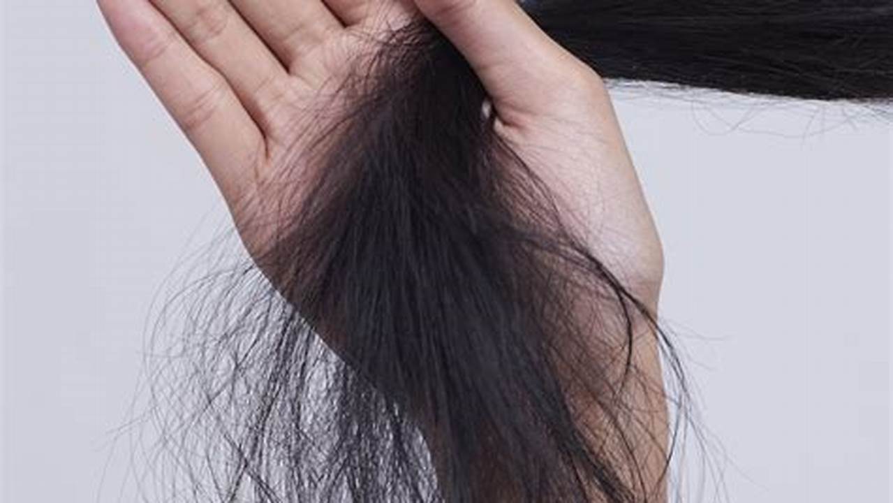 Penyebab Rambut Kering Dan Mengembang, Pengembang Rambut