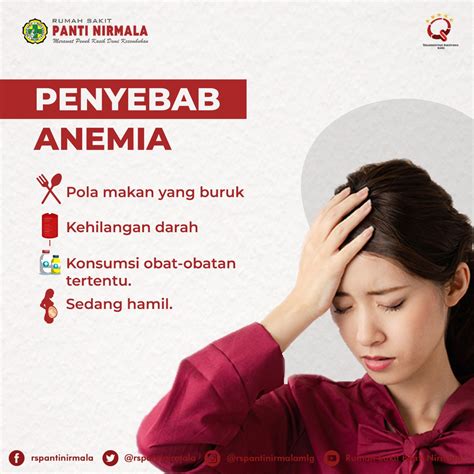 Penyebab Anemia