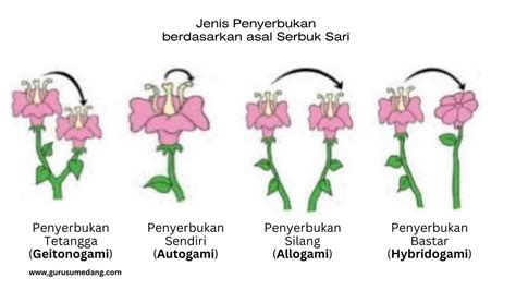 Penyerbukan Manual