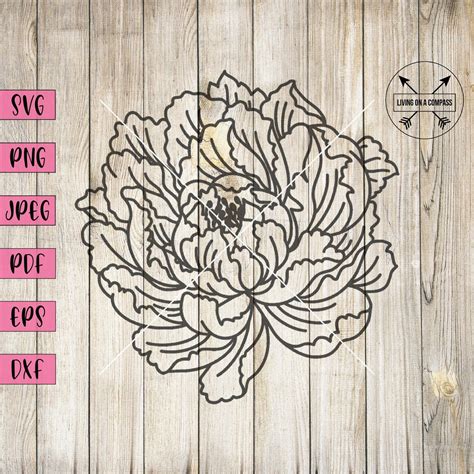Download Peony Flowers SVG File - SVG Design Files