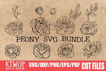 Download Peony Handdraw SVG Bundle Files