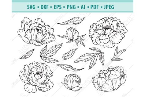 Download Peony Handdraw SVG Bundle Files DXF Files
