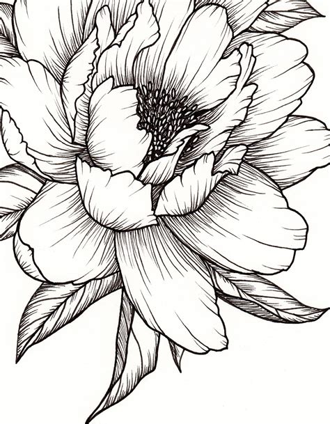 Peony Printable