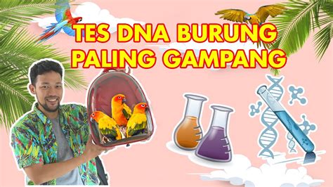 Peralatan yang Diperlukan untuk Tes DNA Burung Indonesia