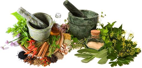 Peran Obat Herbal Di Dalam Sistem Pengobatan Konvensional