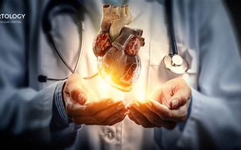 Peran Penting Dokter Jantung