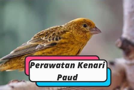 Perawatan