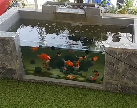 perawatan kolam ikan depan rumah minimalis