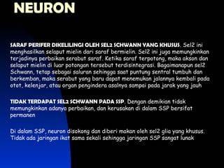 Perbaikan Neuron