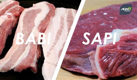 Perbandingan Harga Daging Babi dan Sapi