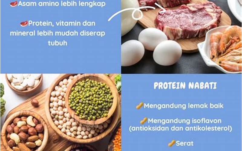 Perbanyak Konsumsi Protein Nabati