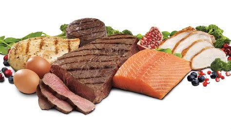 Makanan Berprotein