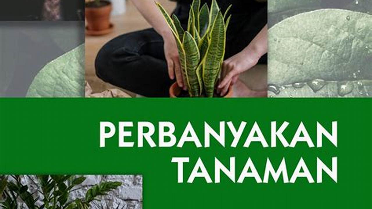 Perbanyakan, Tanaman