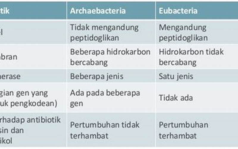 Perbedaan Antara Archaebacteria Dan Eubacteria