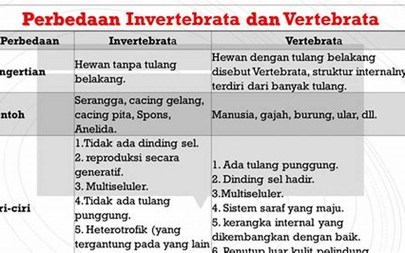 Perbedaan Invertebrata Dan Vertebrata
