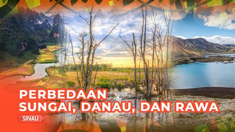 Perbedaan danau dan rawa