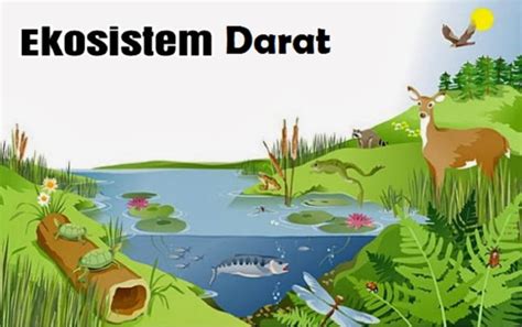 Perbedaan Ekosistem di Berbagai Wilayah di Indonesia