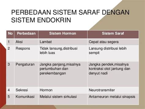 Perbedaan Sistem Hormon dengan Sistem Saraf