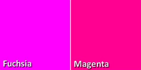 Perbedaan antara Warna Fuschia dan Magenta
