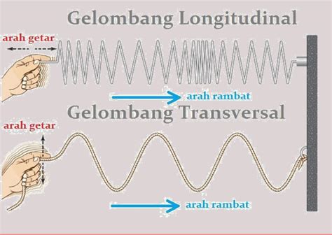 Perbedaan yang Mendasar antara Gelombang Transversal