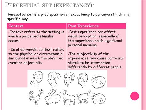 Unveiling the Power of Perceptual Set in Psychology