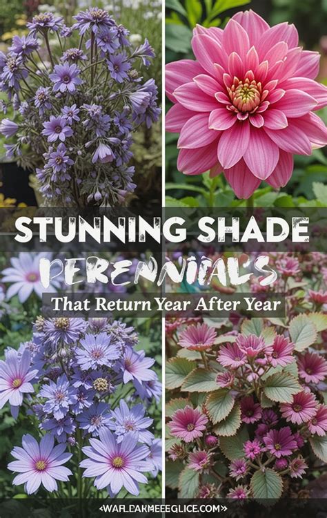 Perennials Returning Year After Year