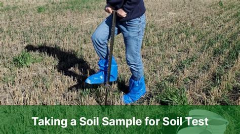 Performing a Soil Test