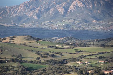 Perfugas Green Mindfulness Walk: A Complete Review