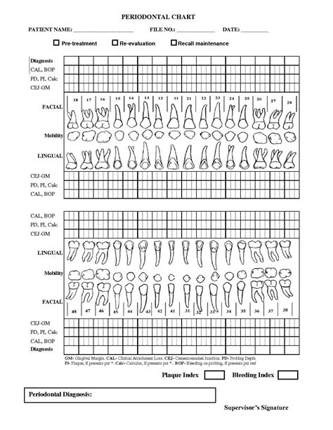 Perio Charting Template