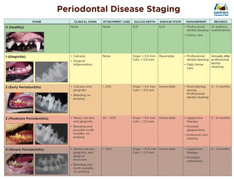 Perio Disease Chart