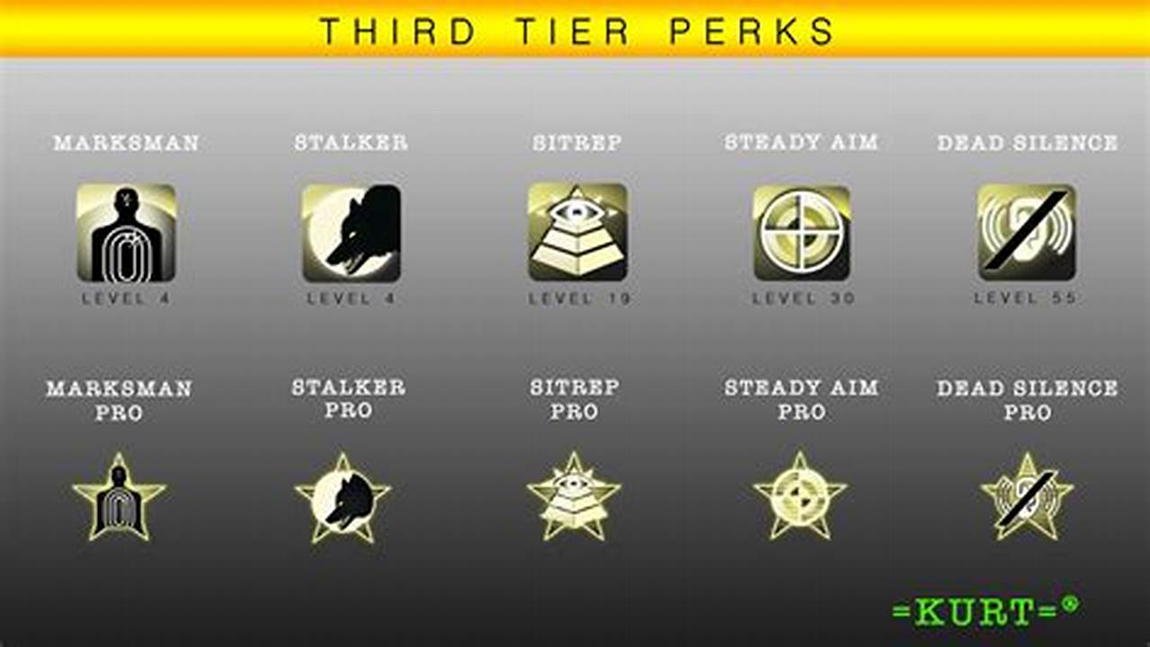 Perks Mw3 2024