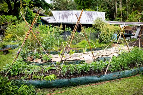 How Permaculture Can Build Resilience and Meet Basic Needs During a