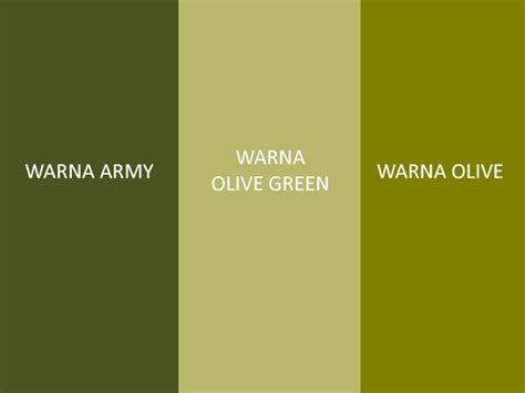 Perpaduan Warna Olive