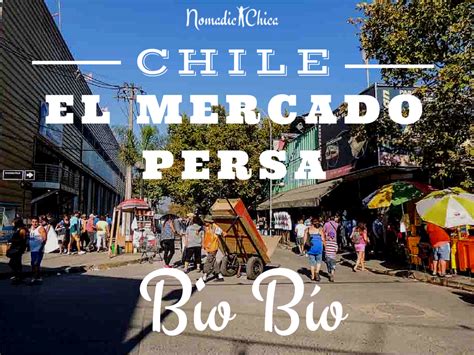 Persa Bio Bio Chile