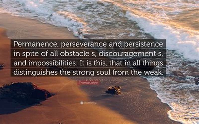Perseverance And Persistence