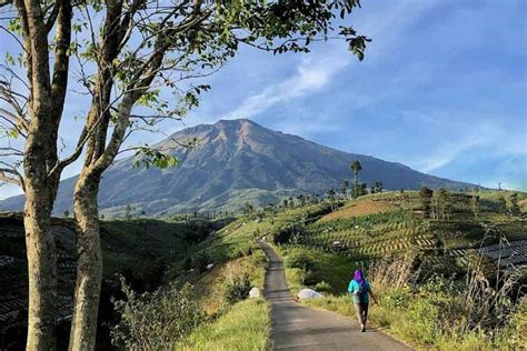 Keindahan Gunung Sumbing