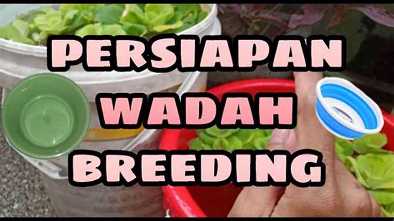 Persiapan Wadah, Tips
