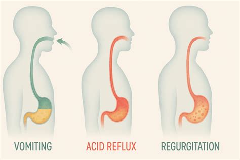 Persistent Vomiting and Regurgitation