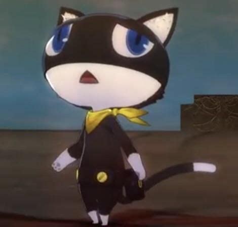 Persona 5 Cat Meme