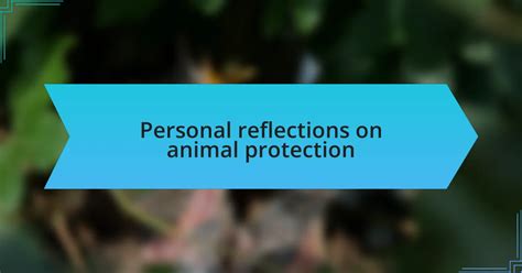 Personal Reflections Safari