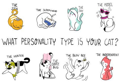 Personality Test Drawing A Cat