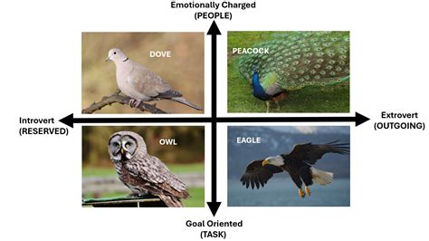 Personality Test Eagle Dove Owl