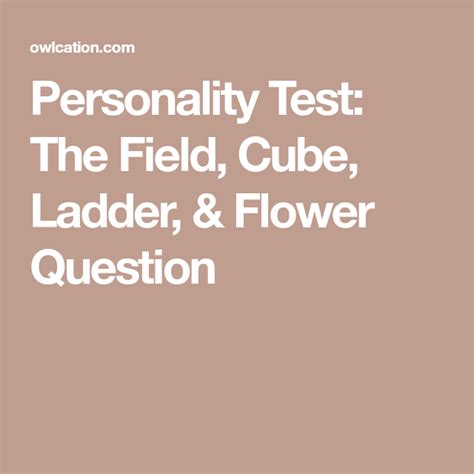 Personality Test Field Cube Ladder Horse